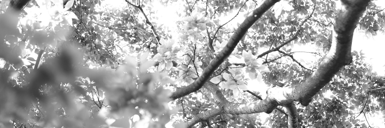 20612sete's profile banner image