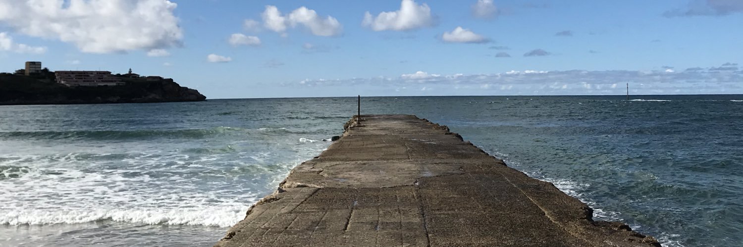 David Pérez Martínez banner