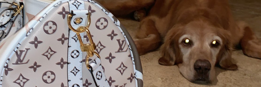 onelungwonderr's profile banner image