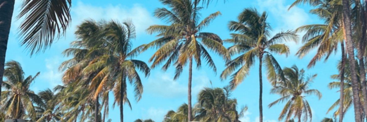 jade_fosterxx's profile banner image