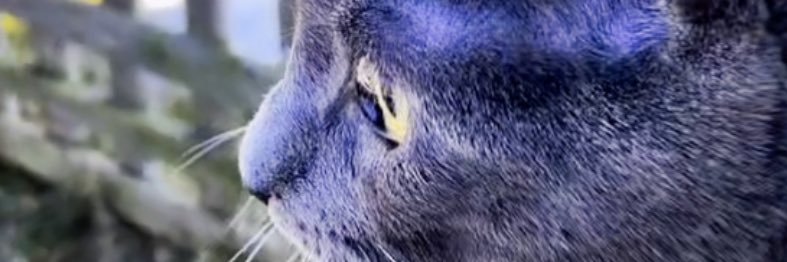 Joe_Nathan81's profile banner image