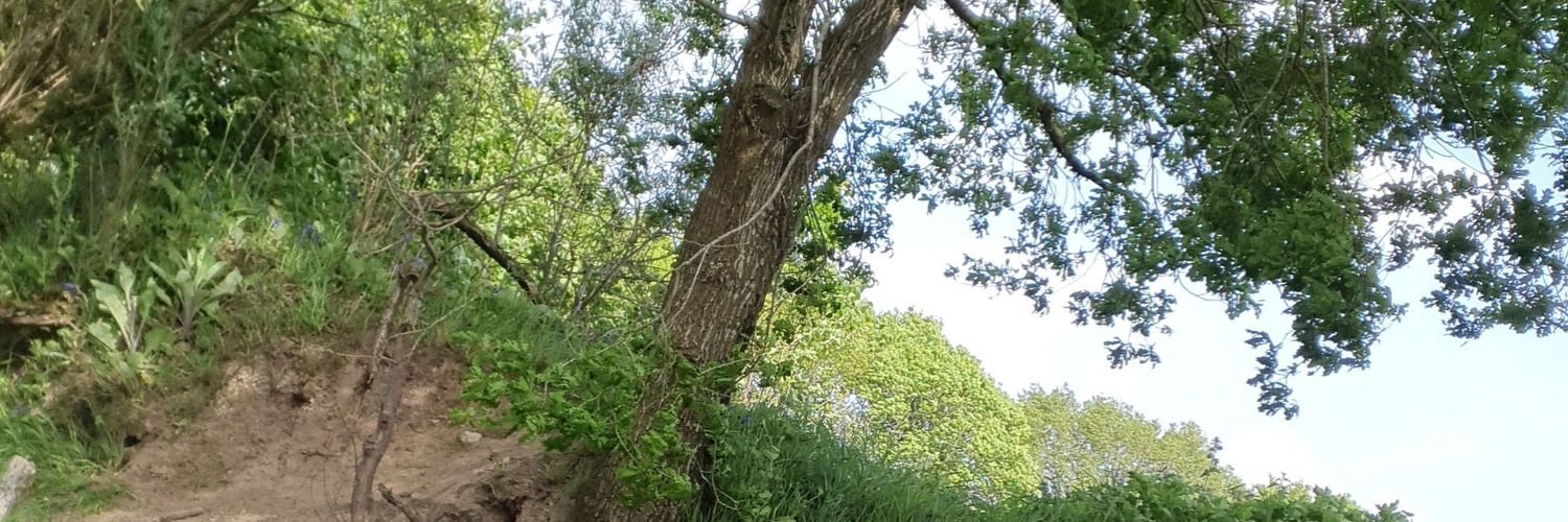 CallumDraper10's profile banner image