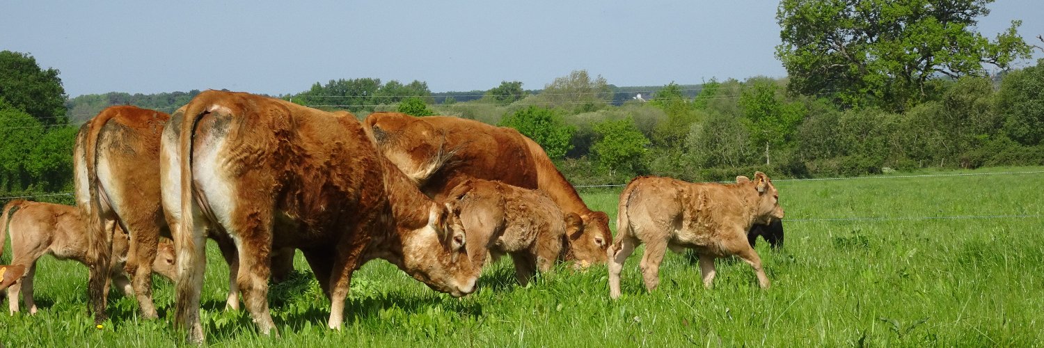 Ferme expérimentale de Thorigné d'Anjou banner