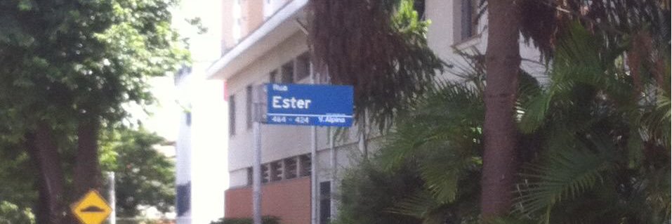 scm_ester's profile banner image