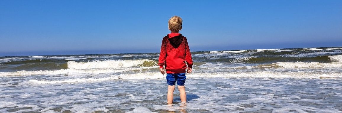 Steven wernsen banner