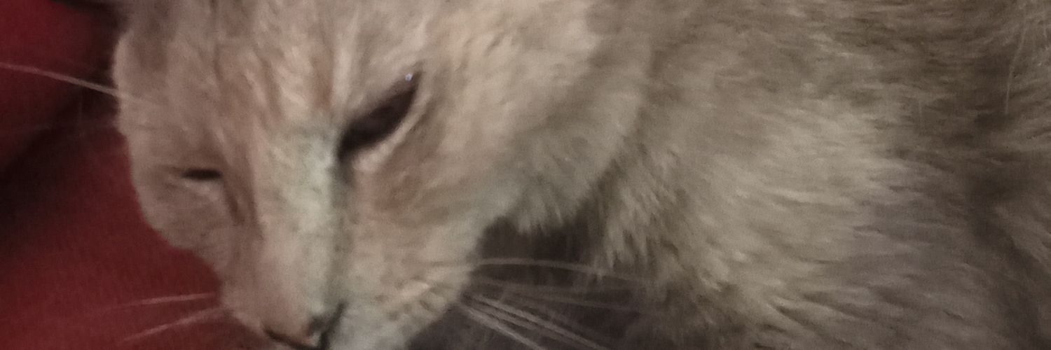 yzprat's profile banner image