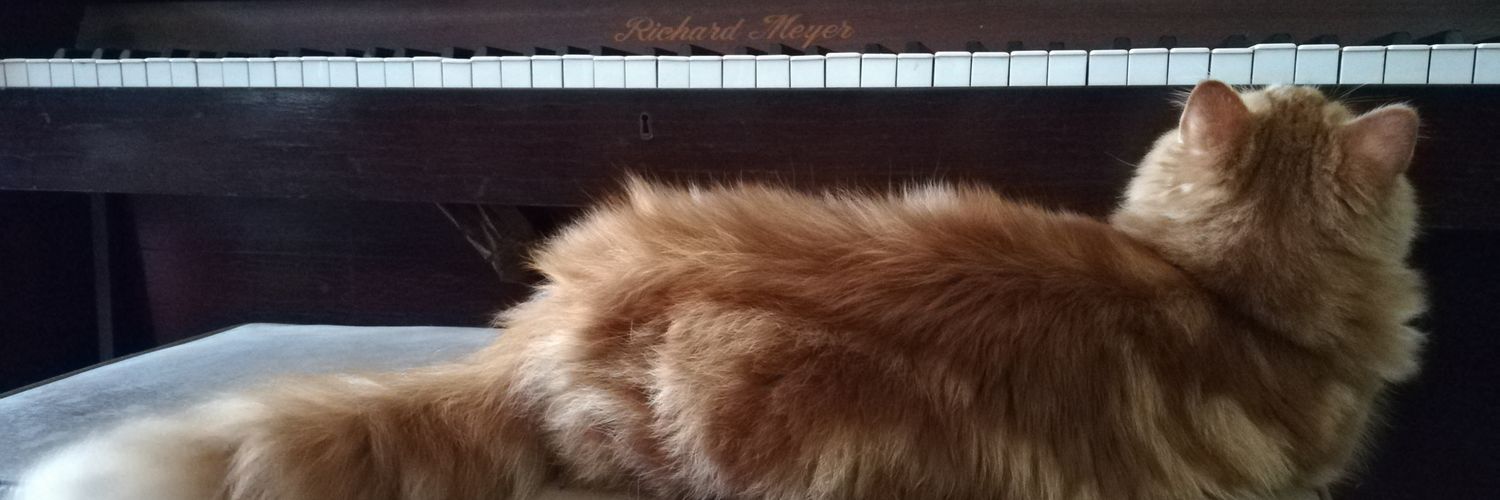 tokitokiVII's profile banner image
