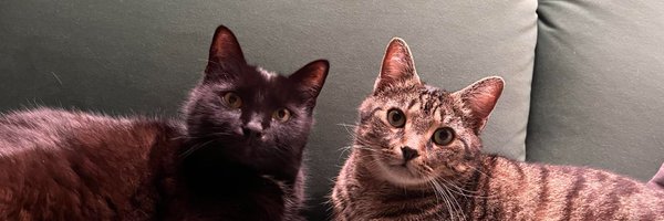 banxFPS Profile Banner