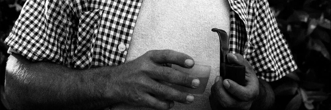 No puedo querer ser nada banner