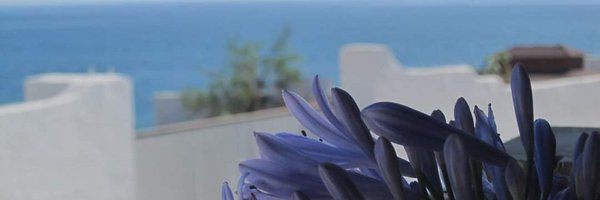 RuthLobo9 Profile Banner