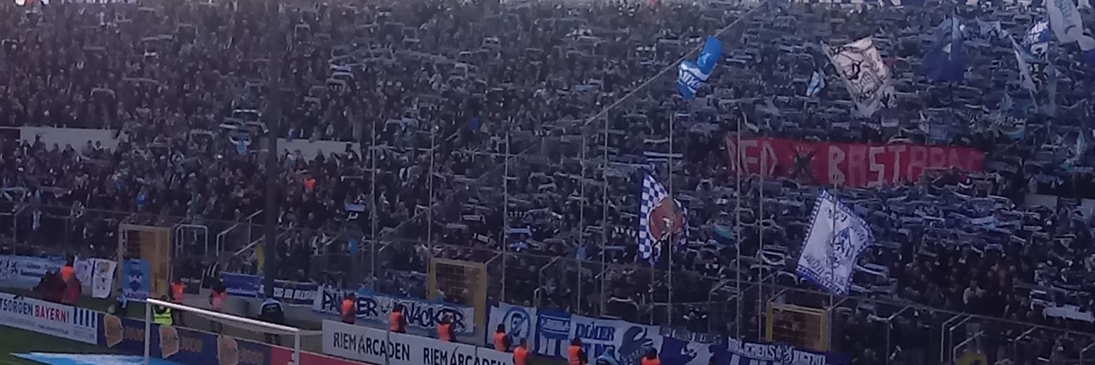 magentalöwe🇩🇪 banner