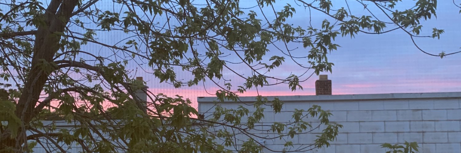 reaneaaa's profile banner image