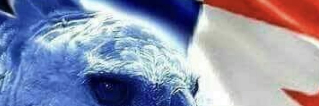 Carlos Enrique Mina Pineda banner