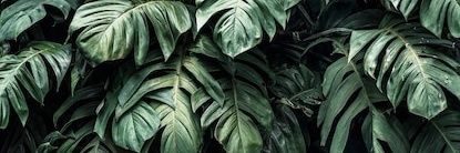 Mihajlo🪐 banner