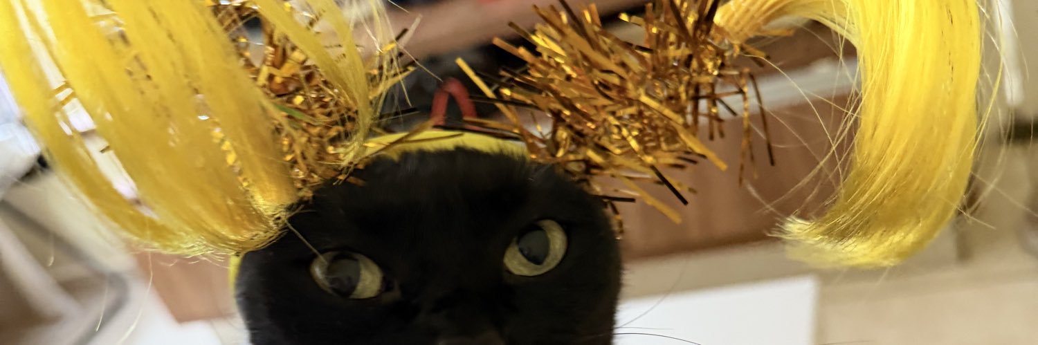 FlaviaPatriciaB's profile banner image