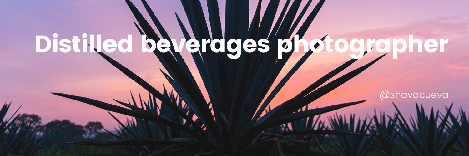 shavaC's profile banner image