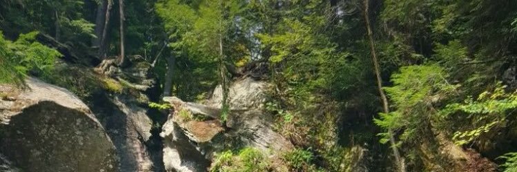 Asdespadas2's profile banner image