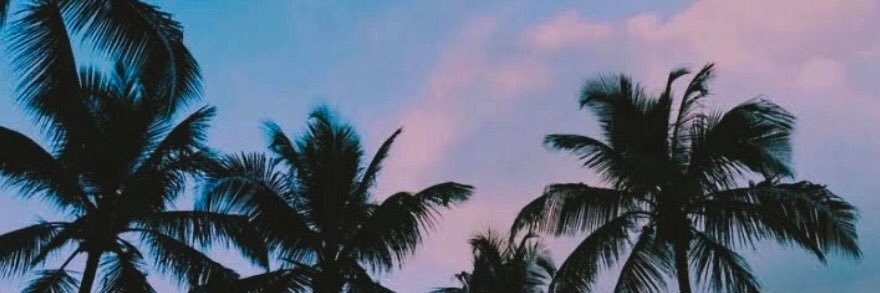 jessica garcia banner