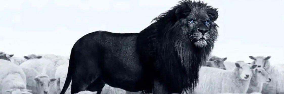 LoneChild🦍's banner