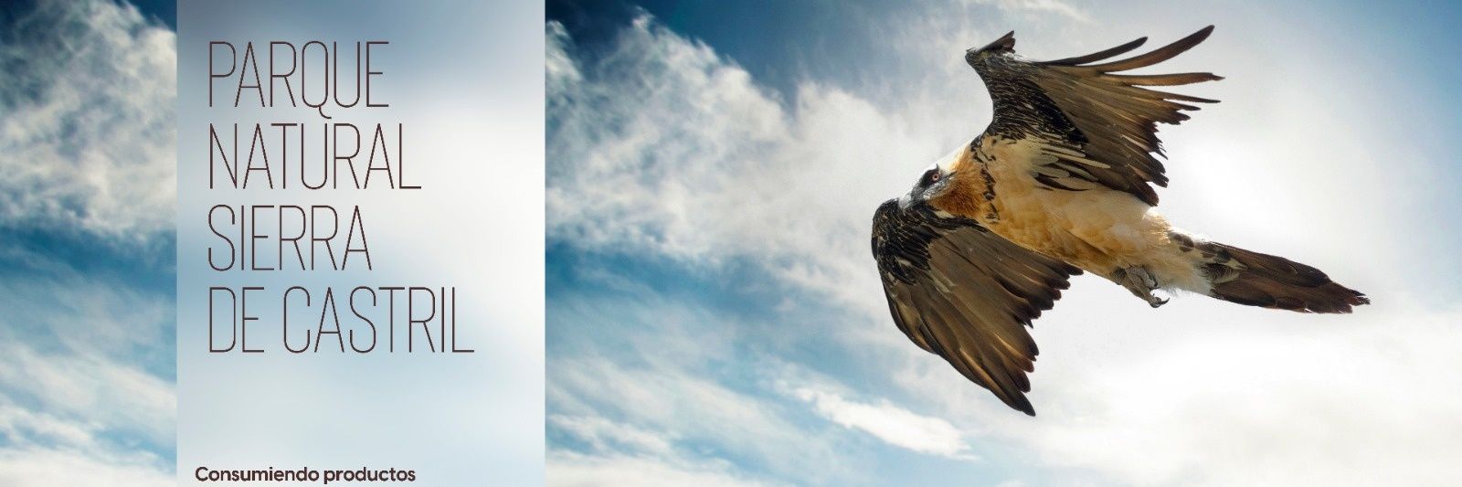 Amig@s PN. Sierra de Castril banner