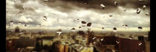 SALVODAV's profile banner image