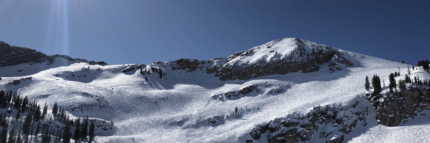 FinsUpMass🐬👆🏼 banner