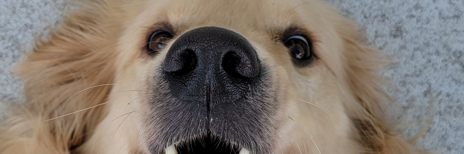 benhubick's profile banner image