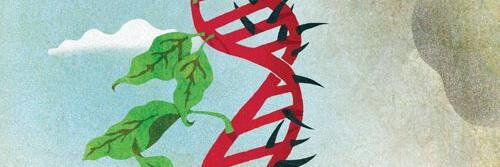 KBAUM711's profile banner image