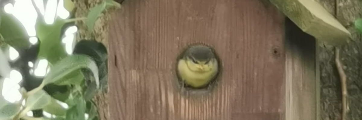 JamPog16's profile banner image