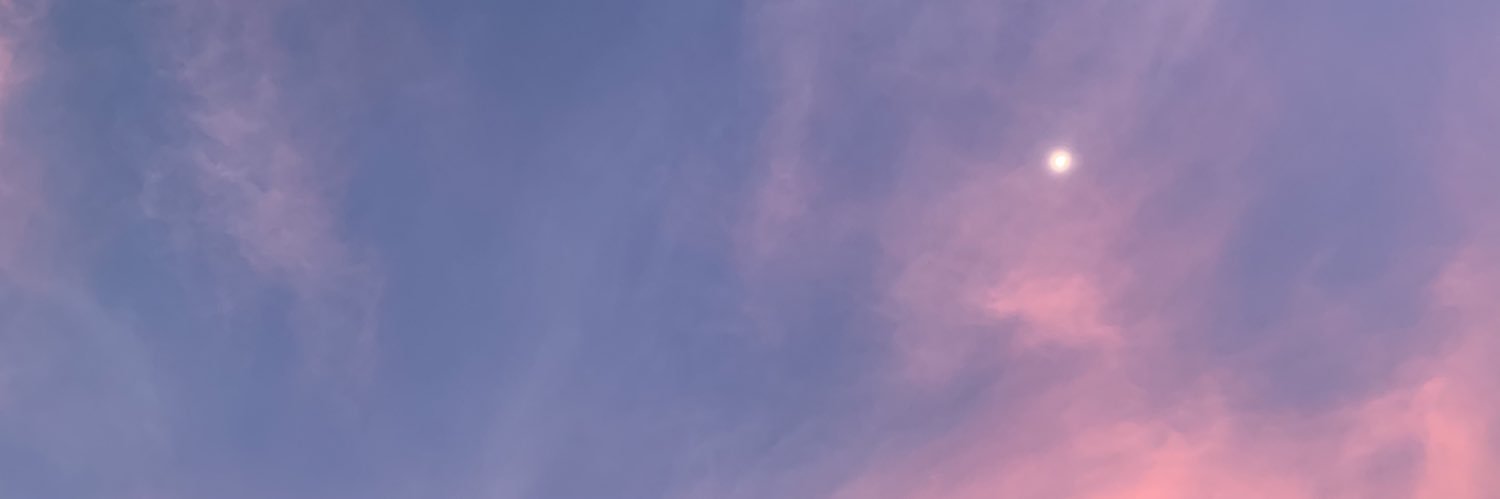 SheLovesToRead's profile banner image