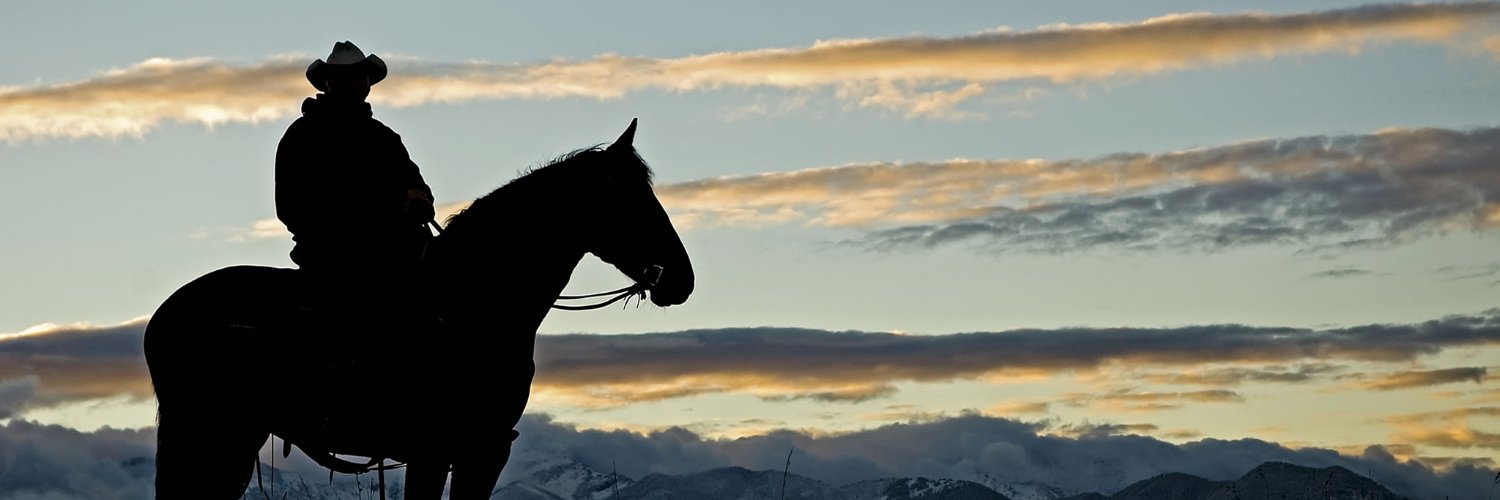 Cowboy Nationalist banner