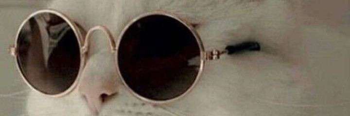 elbashabasha752's profile banner image