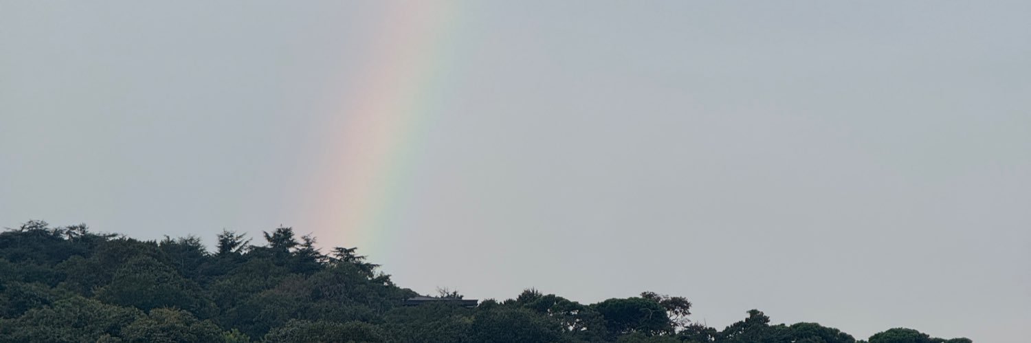 sevvalselcany's profile banner image