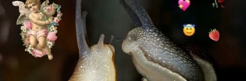 snailqueen 🐌 banner