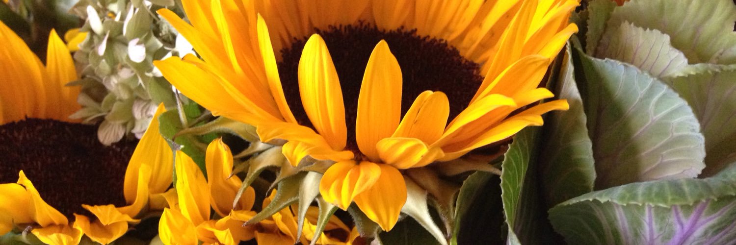 mccafferty_sue's profile banner image