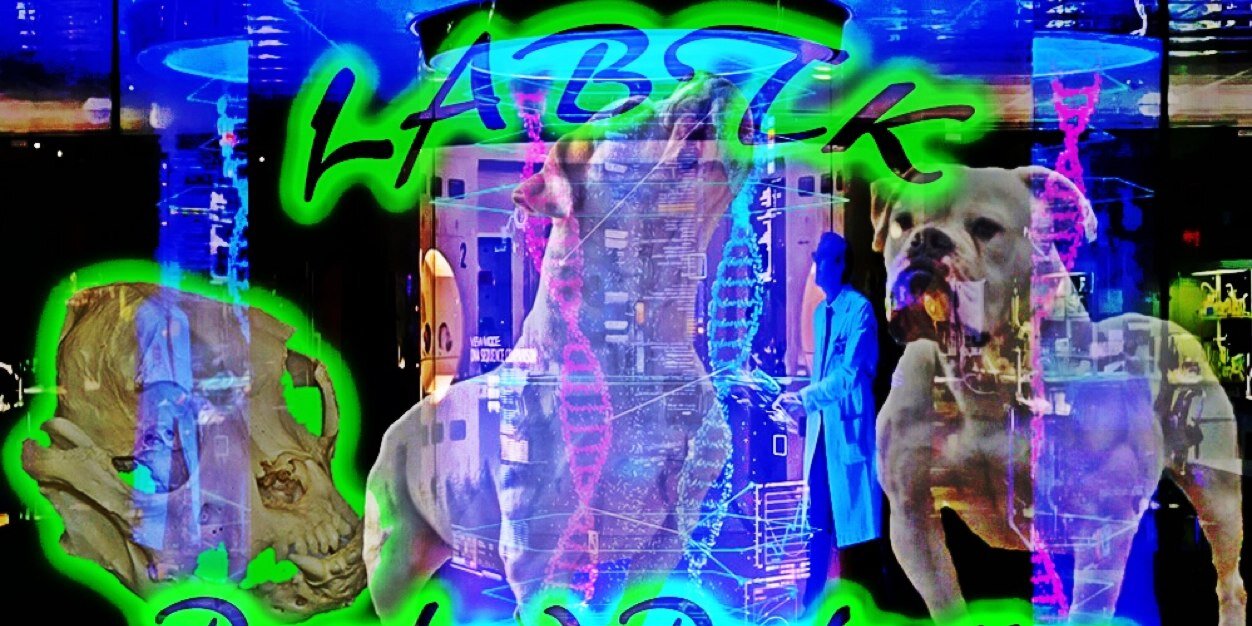 2LABTK's profile banner image