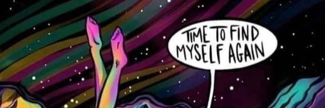 LilCrystalFox's profile banner image