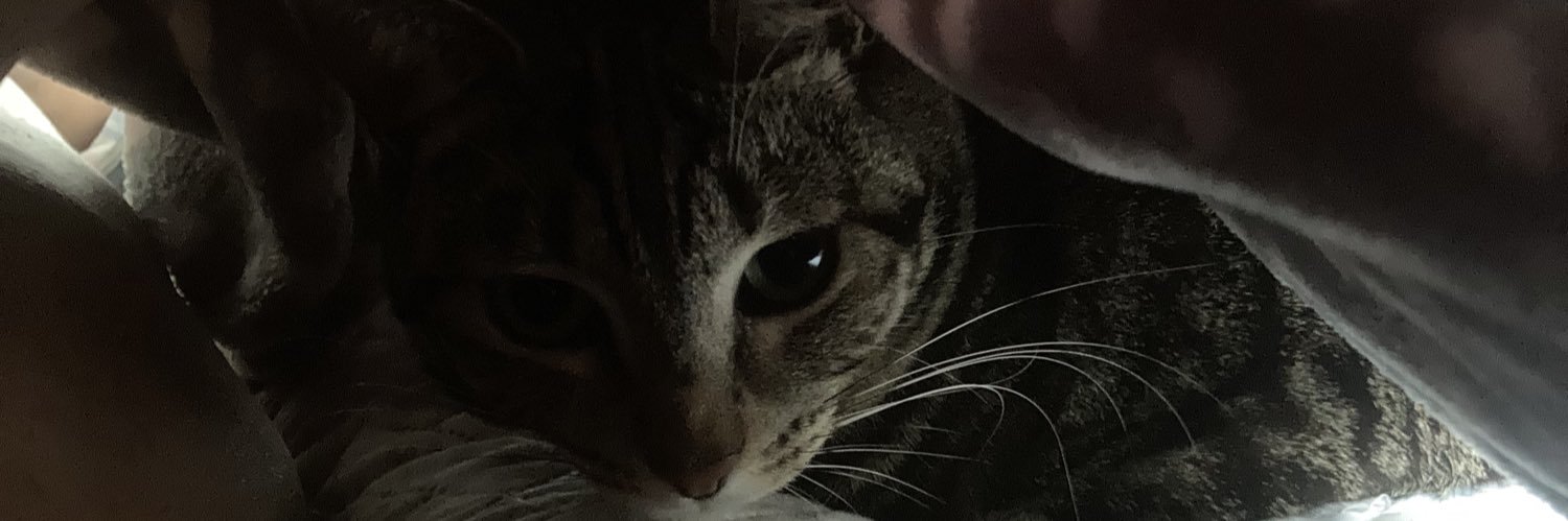 alan2933's profile banner image
