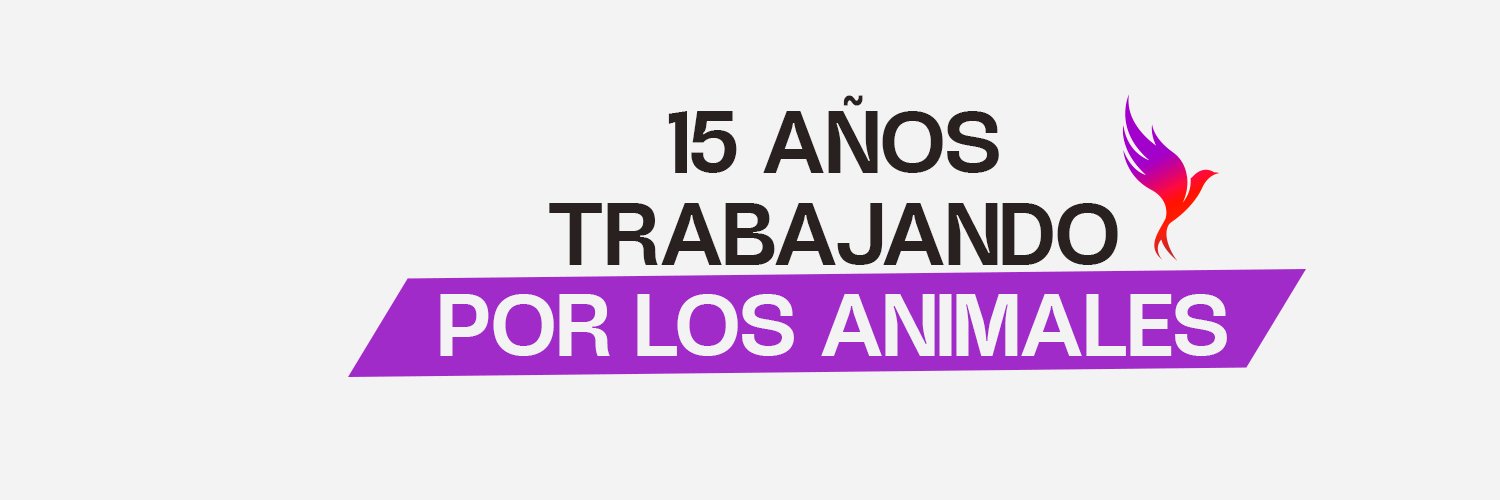 Animal_Libre's profile banner image