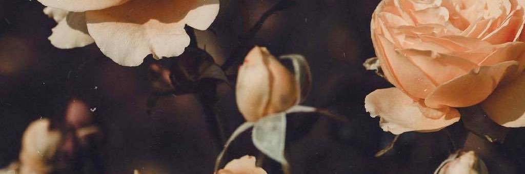 ADAI_LSD's banner