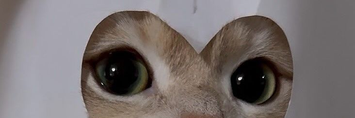 k_wan92's profile banner image