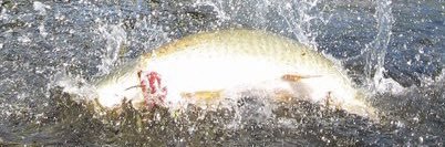 edstrom_john's profile banner image