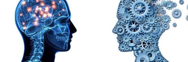 DeToxed_Brain banner