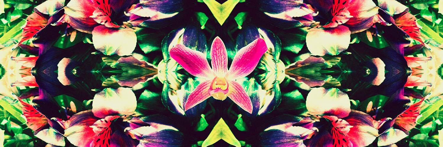 aaryn's profile banner image