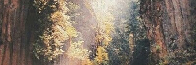 wannabe a woodpecker banner