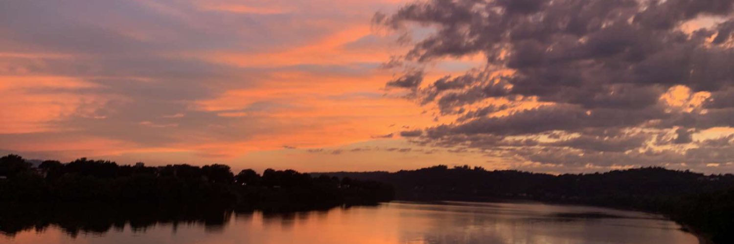 Ella Austin ✨ banner