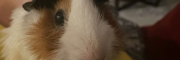 GranulatedGarli Profile Banner