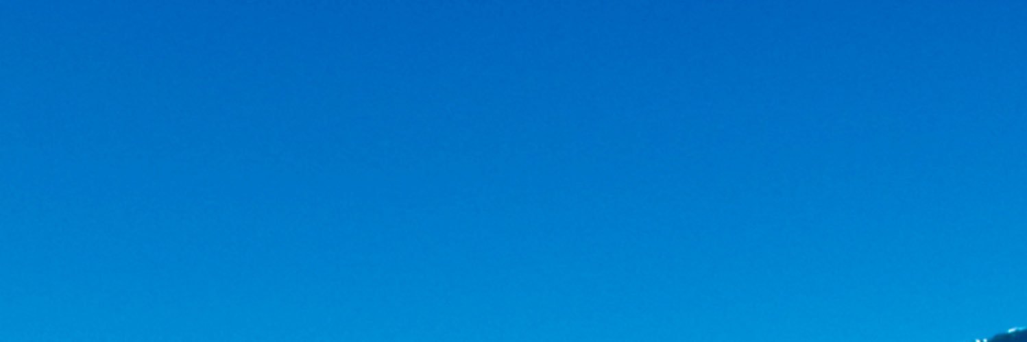 nzoo_ banner