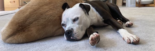 jthwervo Profile Banner