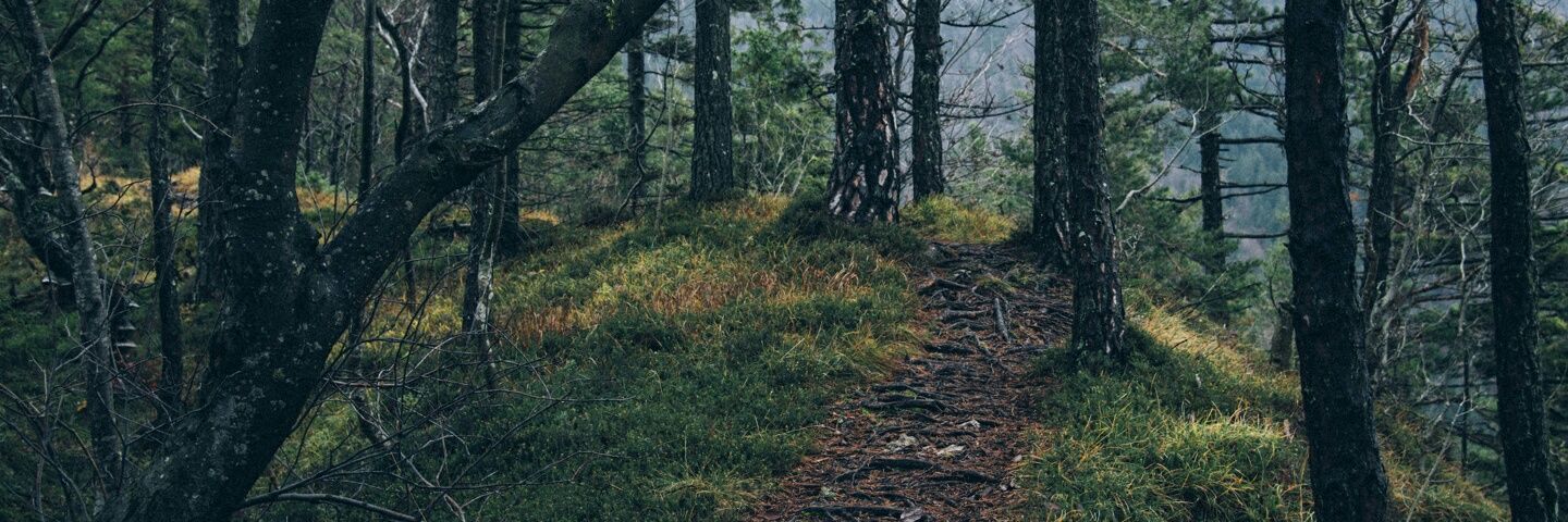 will_nat's profile banner image